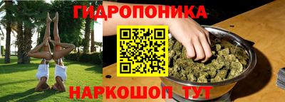 дмт Ставрополь