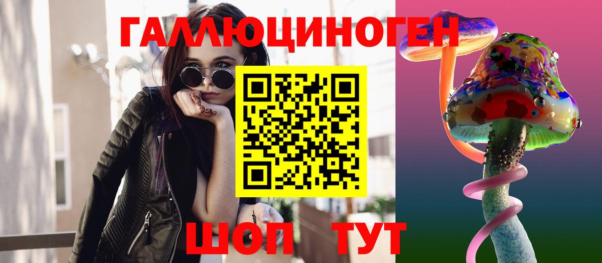 Александров  Галлюциногенные грибы Psilocybine cubensis  наркота  Вход с VPN 